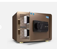 Tiger Safe BOR-25M Dokmatik Ekranlı Ev Kasası